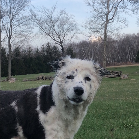 Meet your Posher, Raquel - Picture 1 of 1